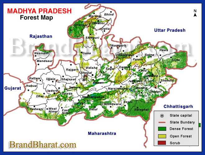 Madhya Pradesh Forest Map