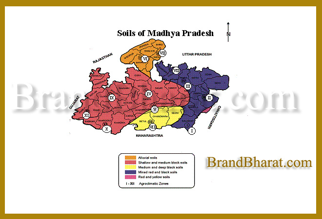 Madhya Pradesh Soil Map