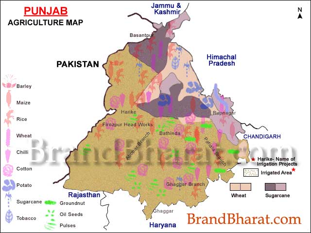 Punjab Agriculture Map